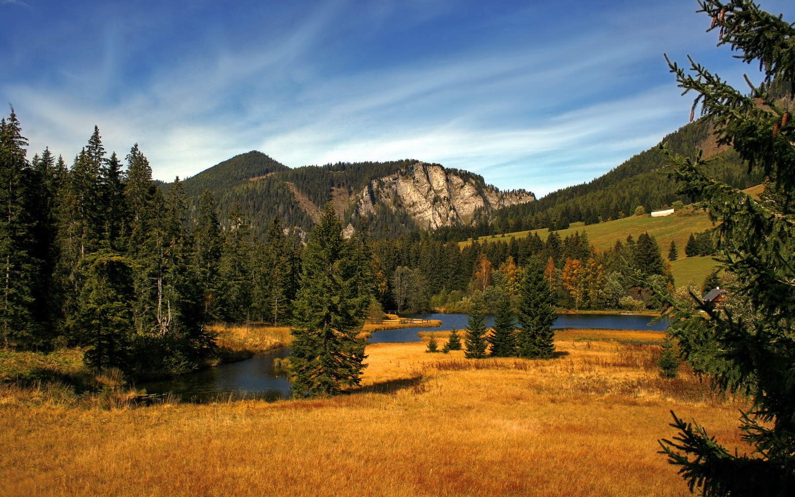 战术碾压！北京队克制森林狼，米切尔证明超级巨星价值